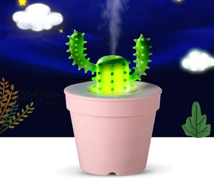 Mini cactus humidifier