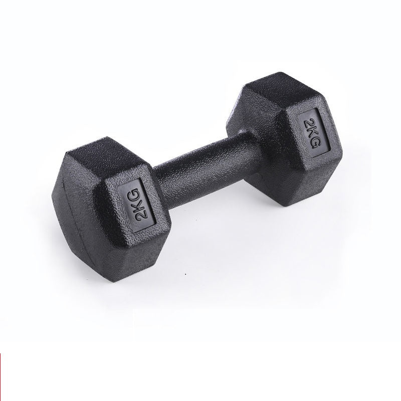 Men's Arm Muscle Female Fitness Dumbbells Equipment