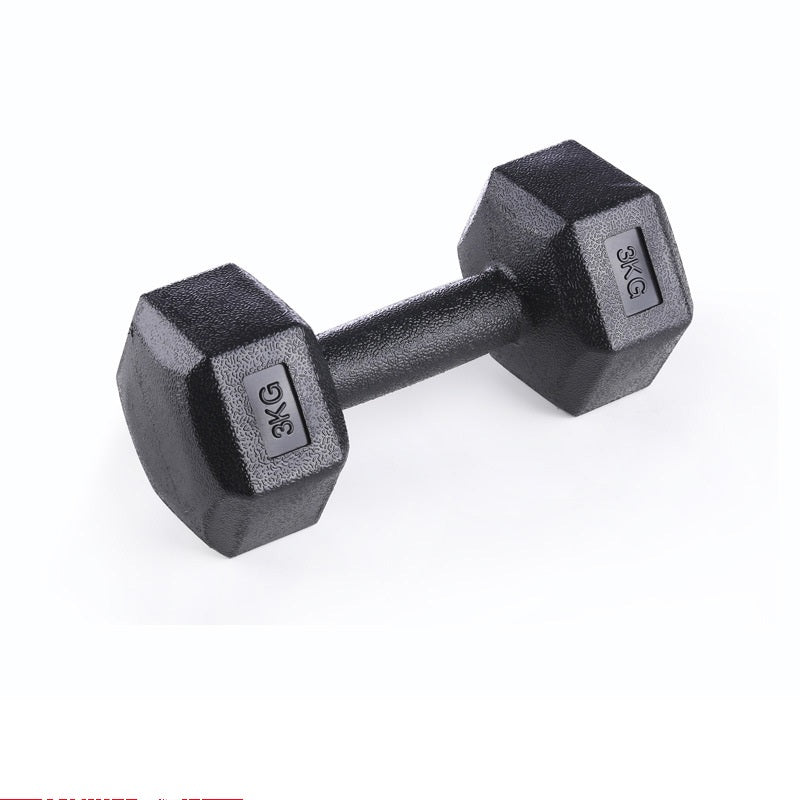 Men's Arm Muscle Female Fitness Dumbbells Equipment