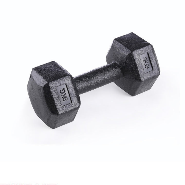 Men's Arm Muscle Female Fitness Dumbbells Equipment