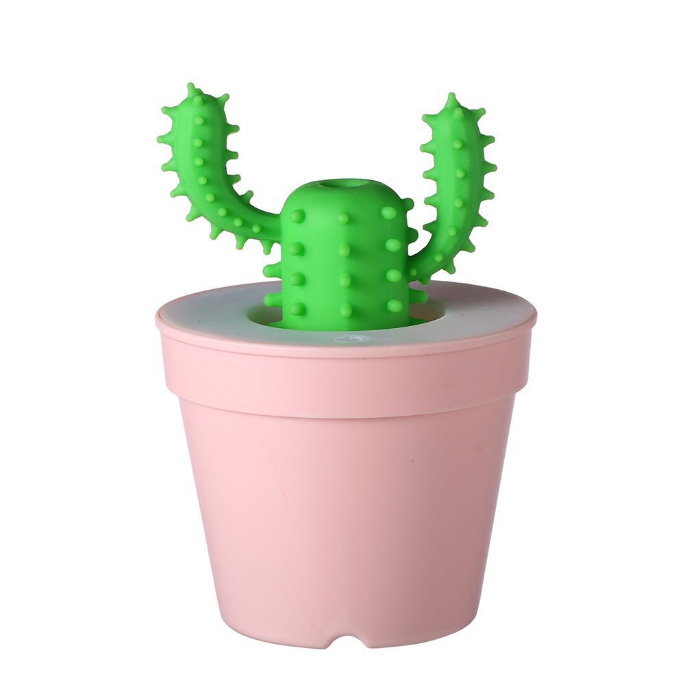 Mini cactus humidifier
