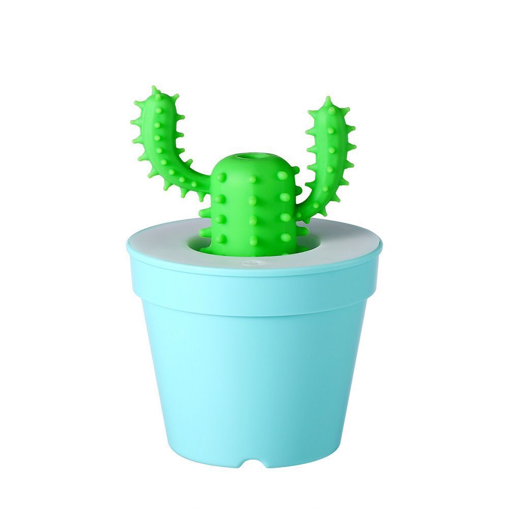 Mini cactus humidifier