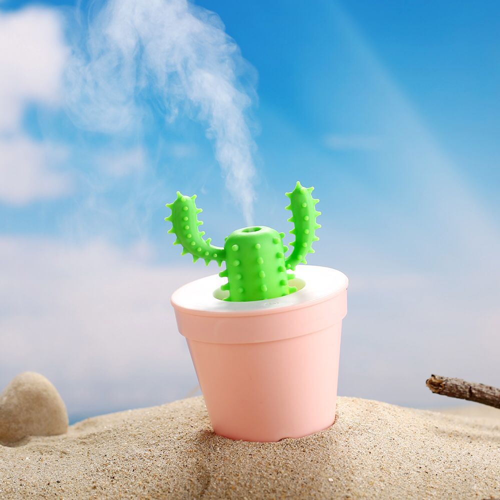 Mini cactus humidifier