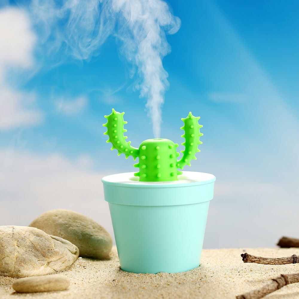 Mini cactus humidifier